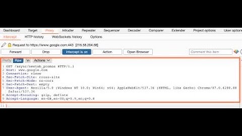 Analyzing data captured into burpsuite and the attack perspective