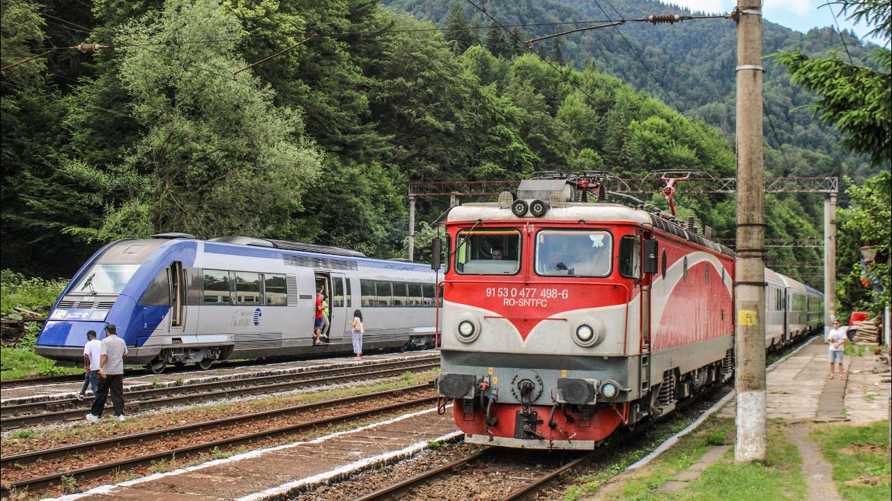Trains in Timișul de Sus + Delays due to a fallen tree on the contact line - Iunie 2025