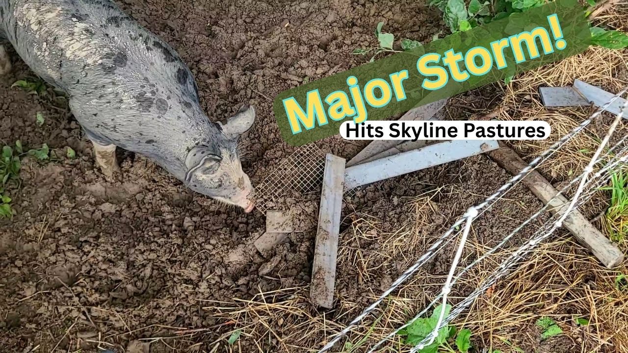 Storm Damage on the Farm: How Preparedness Builds Resilience | Homestead Recovery & Lessons Learned