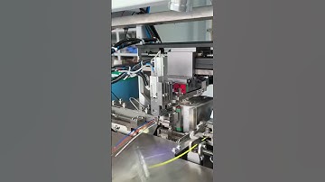 Fully Automatic Terminal Crimping and Insertion Machine#terminalinsertion