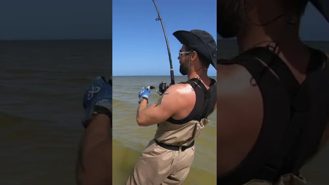 MONSTER BITE Unexpected Big Fish Bites Through 80lbs Leader Shore Fishing WOW Shorts