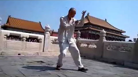 Wang Zhixiang Water Taiji - DayDayNews