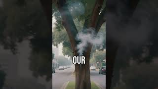 Discover the power of trees! #EcoHealth #CarbonReduction #PlantATree