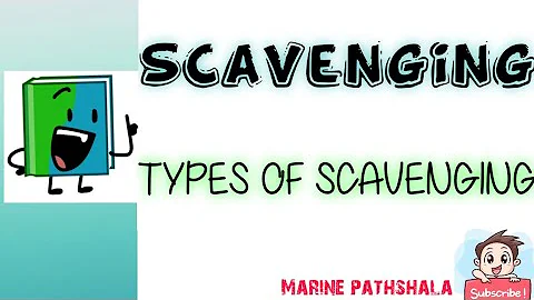 SCAVENGING || TYPES OF SCAVENGING || MARINE DIESEL ENGINE