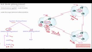 1what is BGP protocol