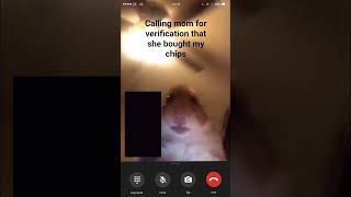 calling mom for verification that she bought my chips