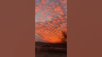 سورة الكهف نور بين الجمعتين#قرآن