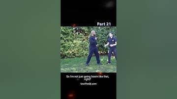 Wing Chun vs Mantis Kung Fu Techniques - Part 21 #shorts