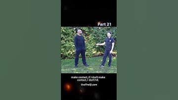 Wing Chun vs Mantis Kung Fu Techniques - Part 21 #shorts