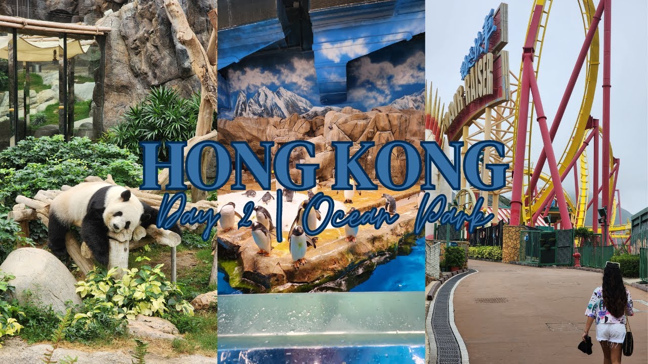 Ocean Park | Hong Kong