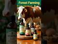 गौशाला में होती है लाखों की कमाई – जानिए कैसे ! #forestfarming