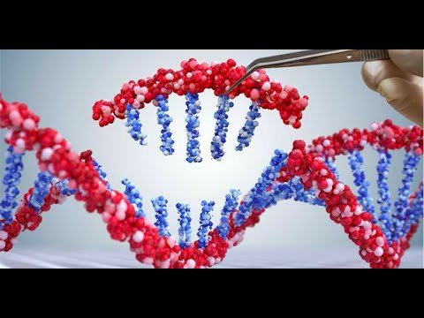 Vídeo: Moléculas De DNA Humano Escondem Texto Misterioso - Visão Alternativa