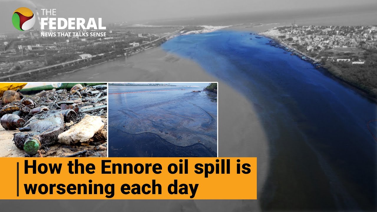 Ennore oil spill: Contamination in North Chennai; South Chennai next | The Federal