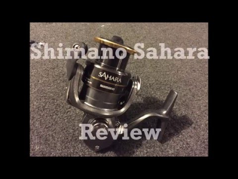 Shimano Sahara Reel Review 