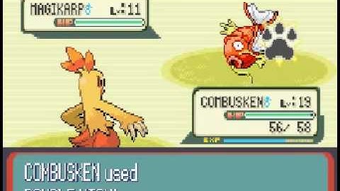 Pokémon Ruby Walkthrough Part 8 - Meets Steven !