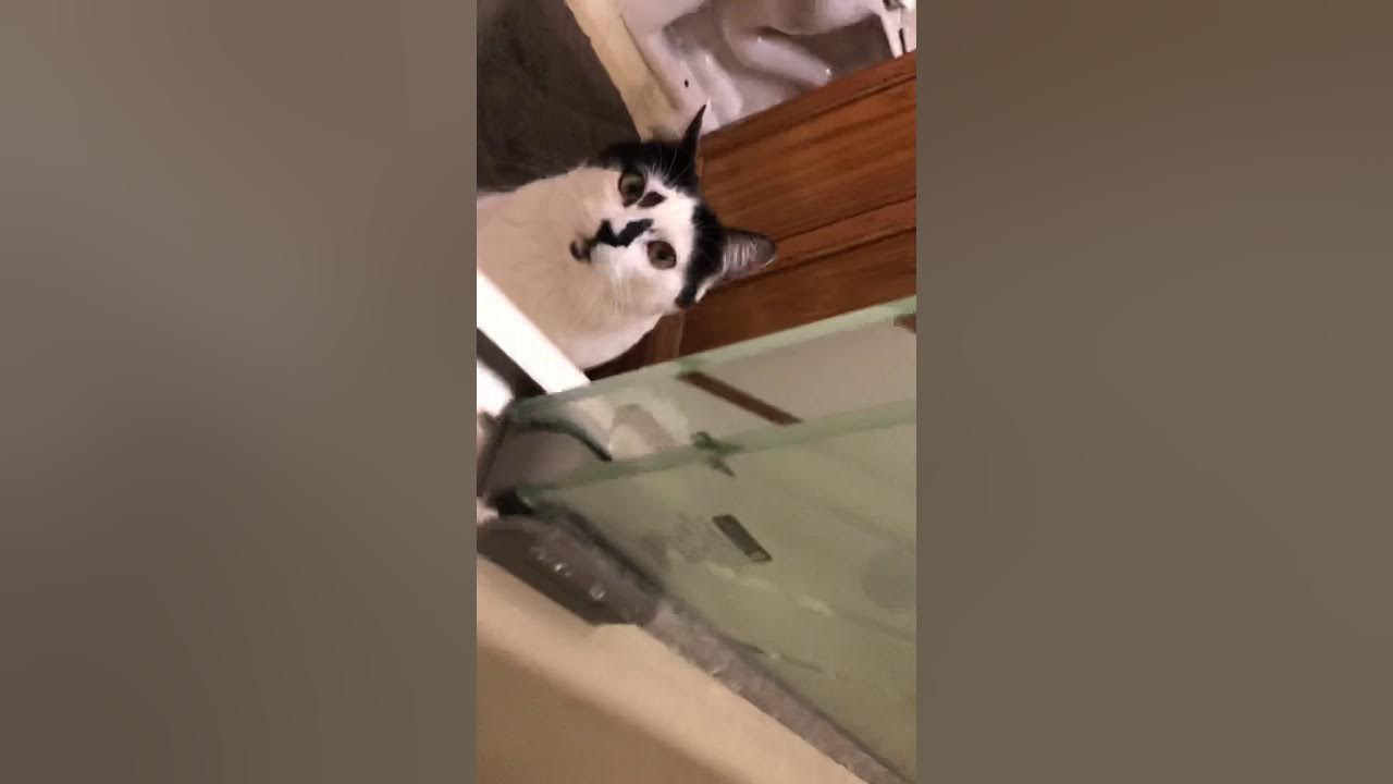 Showerdoordirect 36 in. Frameless Shower Door Bottom Sweep with Drip