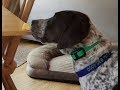 counter surfing correction counter surfing correction