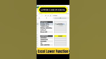How To Use Lower Formula In Excel | Convert Your Data In Lower Case | Excel Lower Function