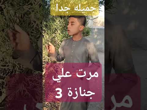 مرت علي جنازة 3 جميله جدا 