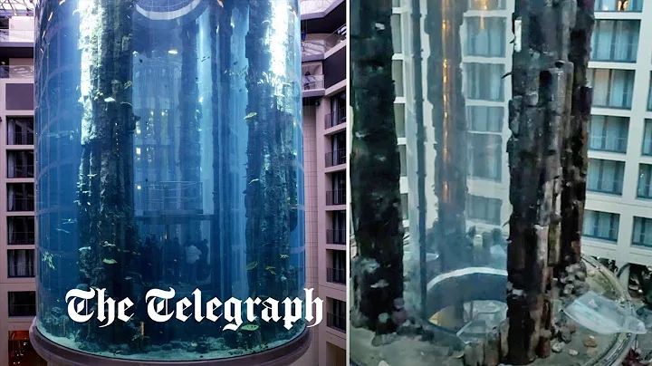 Berlin Aquarium: huge fish tank bursts in hotel lobby