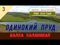 ОДИНОКИЙ ПРУД - БАЛКА КАЛИНОВАЯ/#3 -Ростовская обл./МАЙ -2020