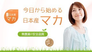 マカサプリメントのことなら国産マカ通販サイト：日本マカショップ