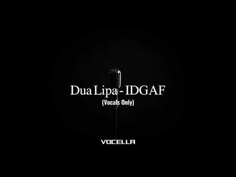 Dua Lipa IDGAF Acapella Vocals Only