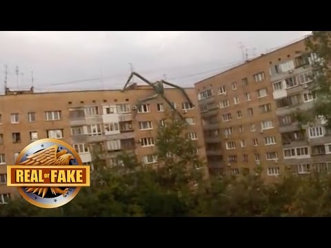 Video: Snakeworms From Russia, The Answer To The Chupokabra From America - Alternative View