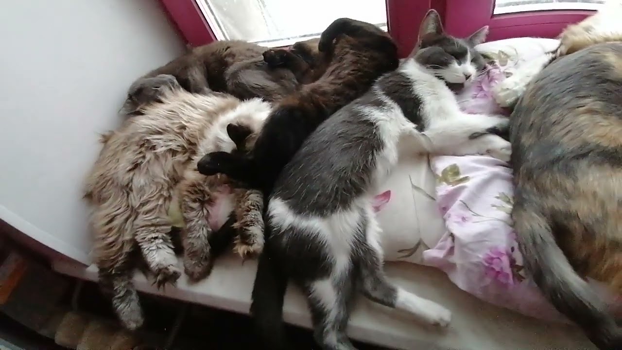 6 февраля 2026 г._Сбербанк 2202203654418625 Елена К. Kaspi +7 771 194 42 69 Глеб Т.