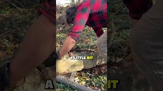 Homesteader's secret to moving big rocks #homesteading