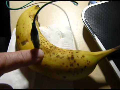 microbit fruit keyboard