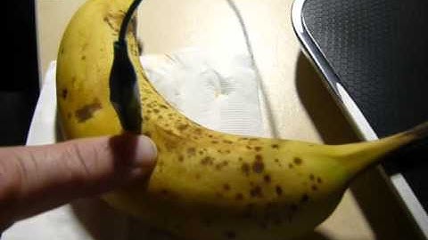 microbit fruit keyboard