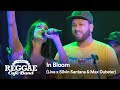 Vintage Reggae Café Band Performs Nirvana's 'In Bloom' 🎶