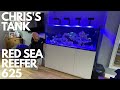 Visiting chriss red sea reefer 625 litre saltwater aquarium