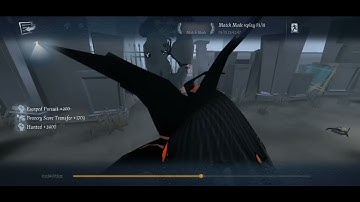 Identity V || Perfumer Gameplay || 5 Cipher Kite? || 🧿👄🧿