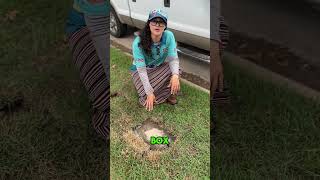 Stop a Sprinkler Leak in Seconds | Shut Off Valve North Texas
