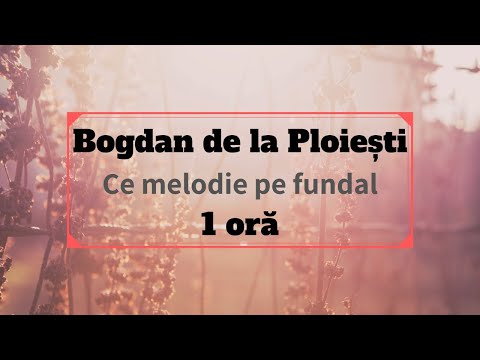 bogdan-de-la-ploiești---ce-melodie-pe-fundal-(1-oră)