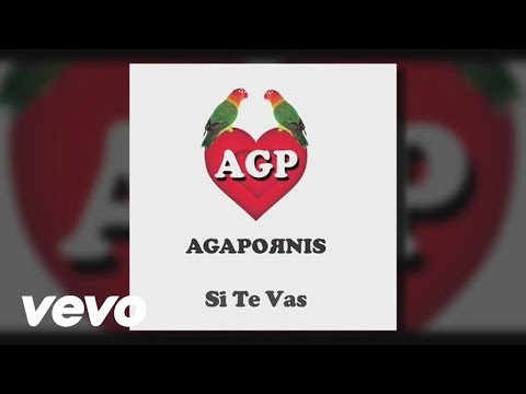 Agapornis - Si Te Vas (Pseudo Video)