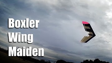 Boxler Wing maiden