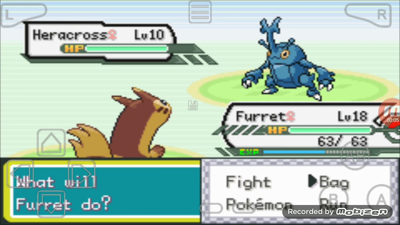 How To Catch Heracross In Shiny Gold Sigma Youtube How To Catch Heracross In Shiny Gold Sigma Youtube