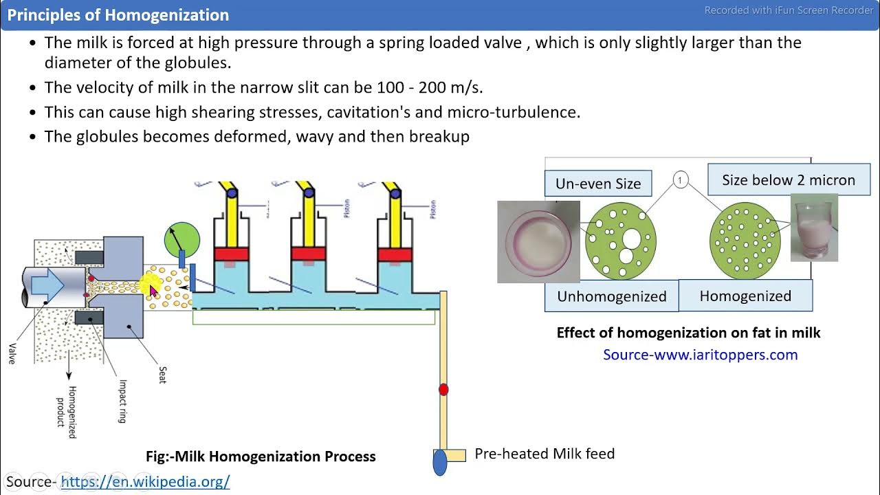 Milk Homogenization Process YouTube