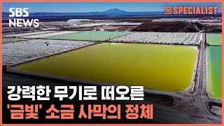 강력한 무기로 떠오른 '금빛' 소금 사막의 정체 / SBS / #더스페셜리스트