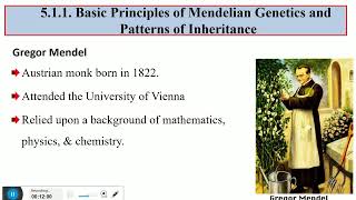 General biology freshman course chapter 5 genetics and evolution
