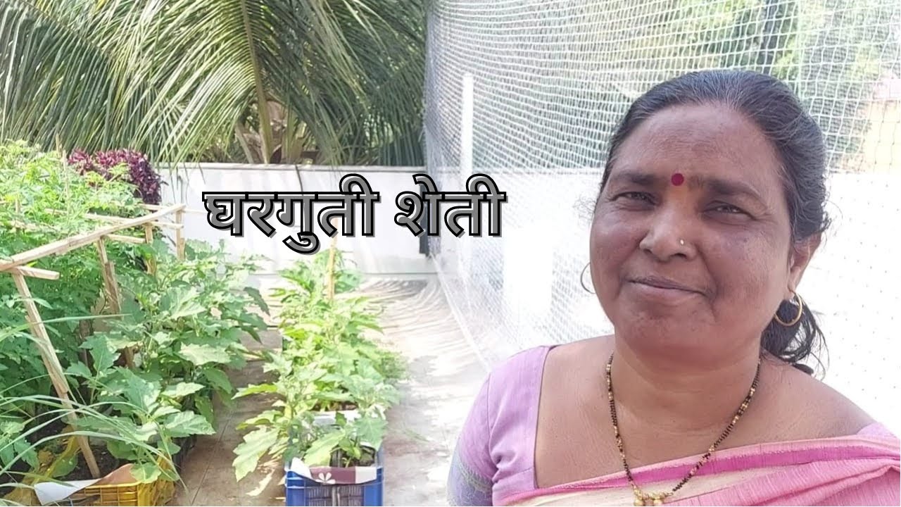 गच्चीवर घरगुती शेती.  Terrace Garden