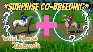 SURPRISING RANDOM PLAYERS WITH COBREEDING ON WILD HORSE ISLANDS!