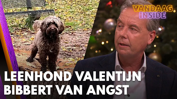 Leenhond van Valentijn Driessen bibbert van angst: 'Er moet direct een vuurwerkverbod komen!'
