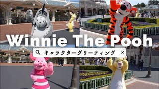 【TDL】プーさんの仲間たちに癒された / 東京ディズニーランド / グリーティング