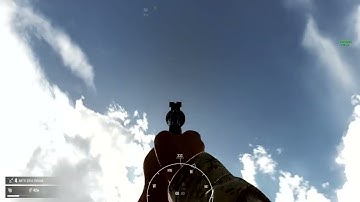 Insurgency  Sandstorm  - Problem with the game