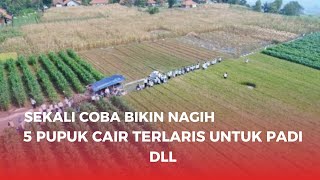 Paling Laris Pupuk Cair Untuk Padi Jagung Cabe Sawit Vitanik Sukatani Orbul Bayfolan Samagrow