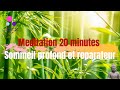 Méditation sommeil profond réparateur